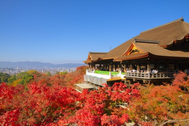 札幌はそろそろ紅葉シーズン🍁  京都の紅葉はやっぱり圧倒的な美しさで
数年前に訪れたときの光景が今でも心に焼きついています🤩  今年もまた美しい紅葉を見つけに行こうかな…✨
みなさんのおすすめの紅葉スポットはどこですか？
コメントで教えてください👇❤️  #京都旅行 #旅の思い出 #旅行好きな人と繋がりたい